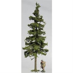Tall Fir Tree