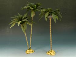 Desert Palm Trees 