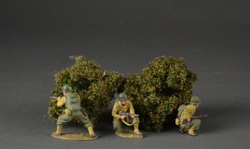 Low shrubs