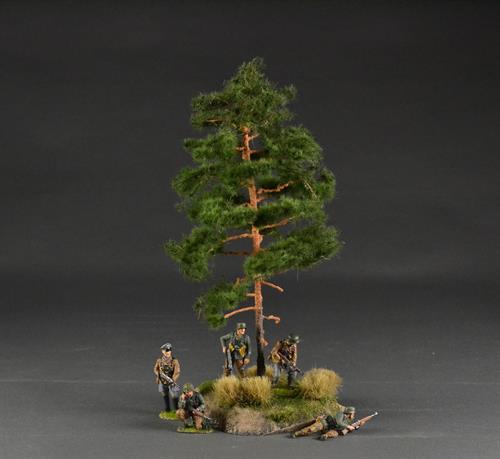 Pine tree