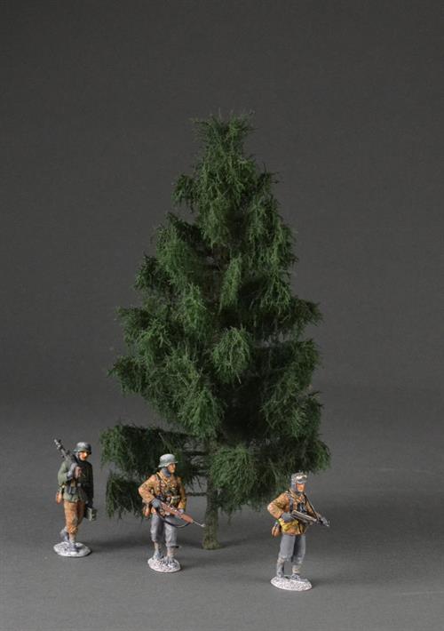 Spruce tree