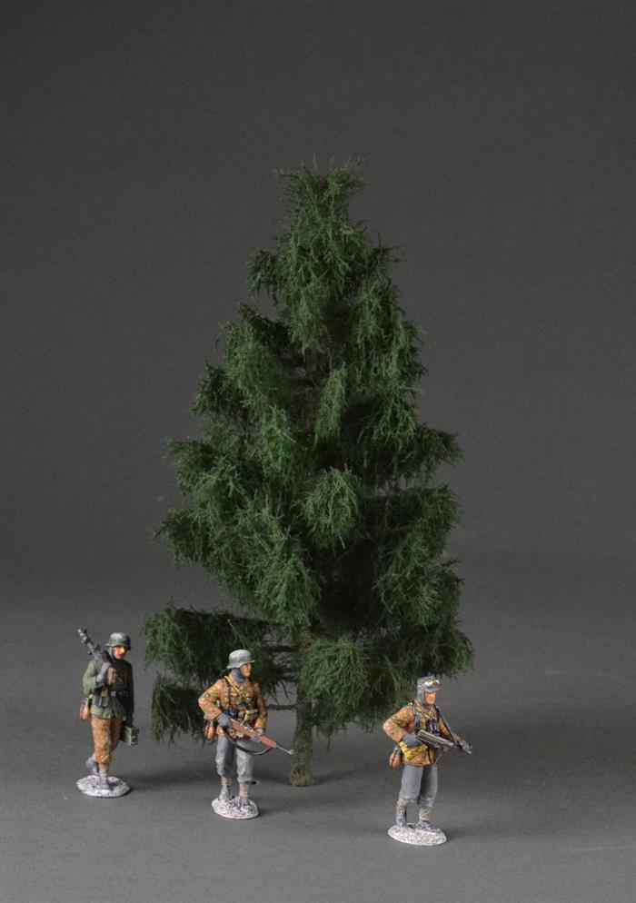 Spruce tree