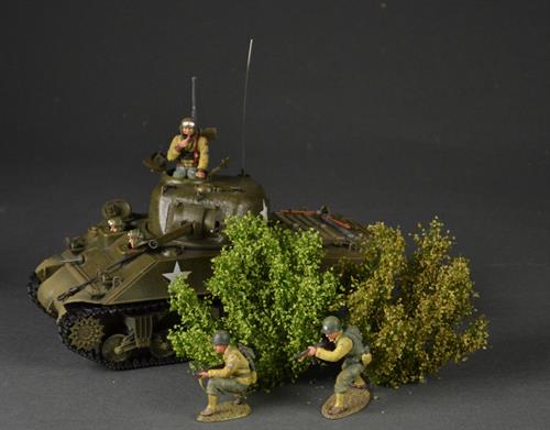 Tall bushes