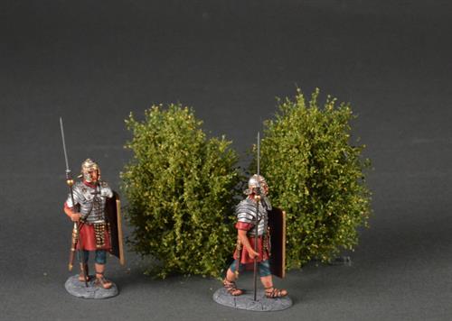 Large bushes