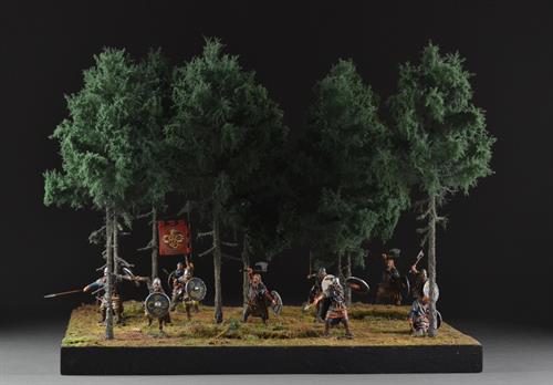 Coniferous forest - diorama