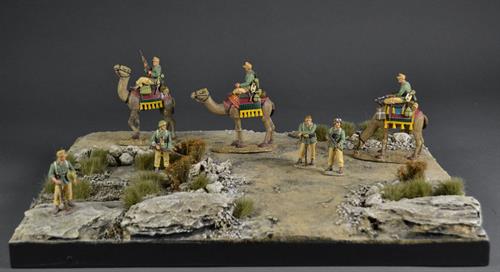 Ørken - Diorama 