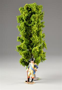 Beeche tree 